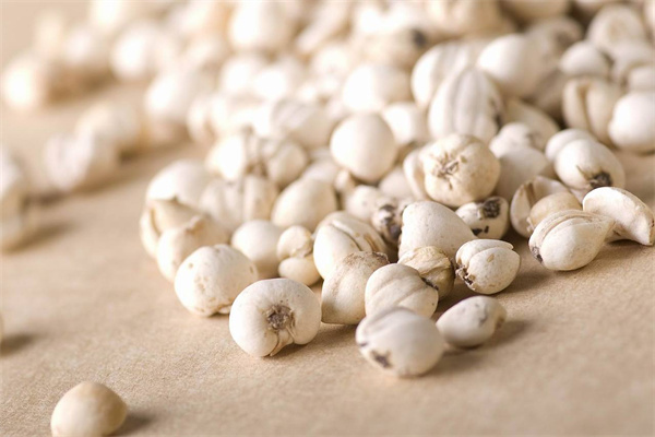 綠生藥業(yè) 專(zhuān)注天然養(yǎng)身，科技賦能保健食品新未來(lái)